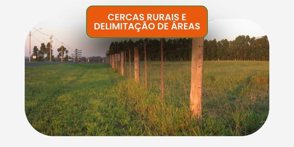 Site - Eucalipto Santo Antonio-17